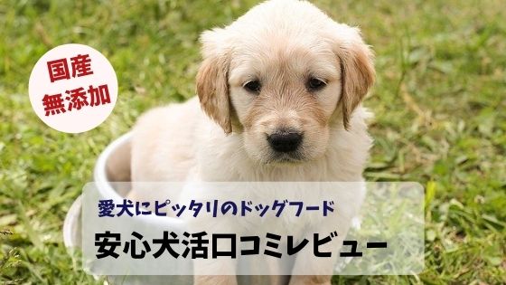 安心犬活の口コミレビュー 国産で安心愛犬にピッタリのドッグフード 知育ファン お家で楽しく知育しよう